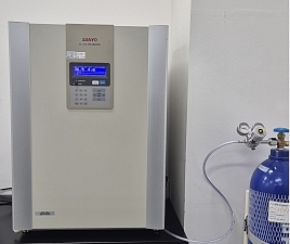 SANYO CO2 Incubator MCO-19M